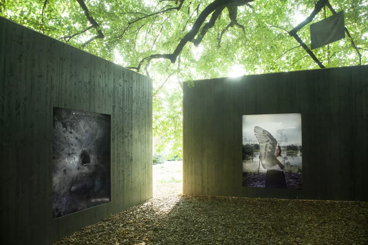 Biennale Images Vevey 2020