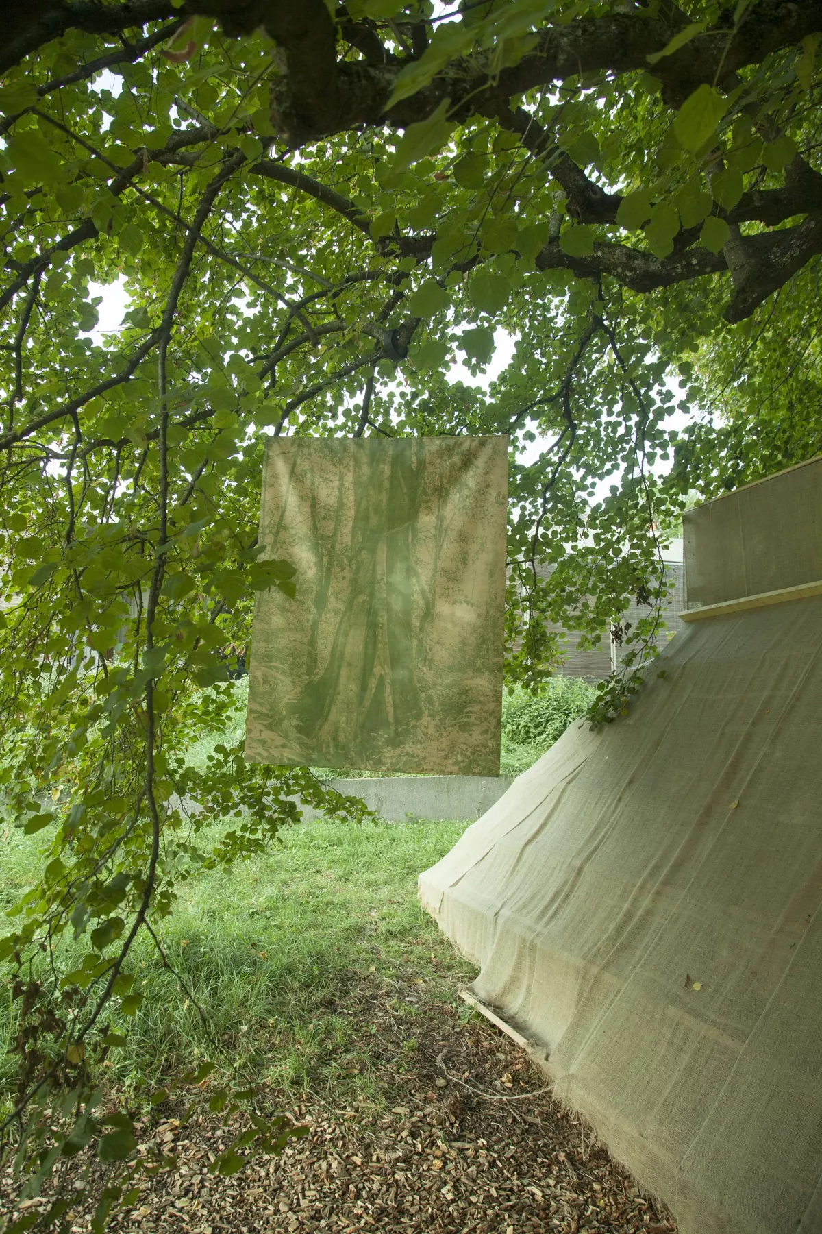 Biennale Images Vevey 2020