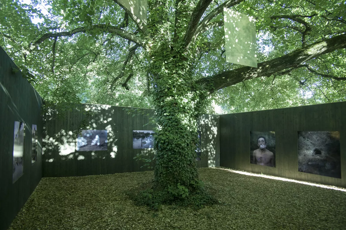 Biennale Images Vevey 2020