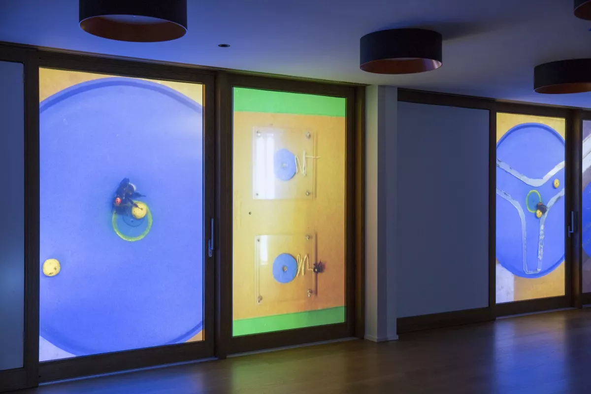 Biennale Images Vevey 2020
