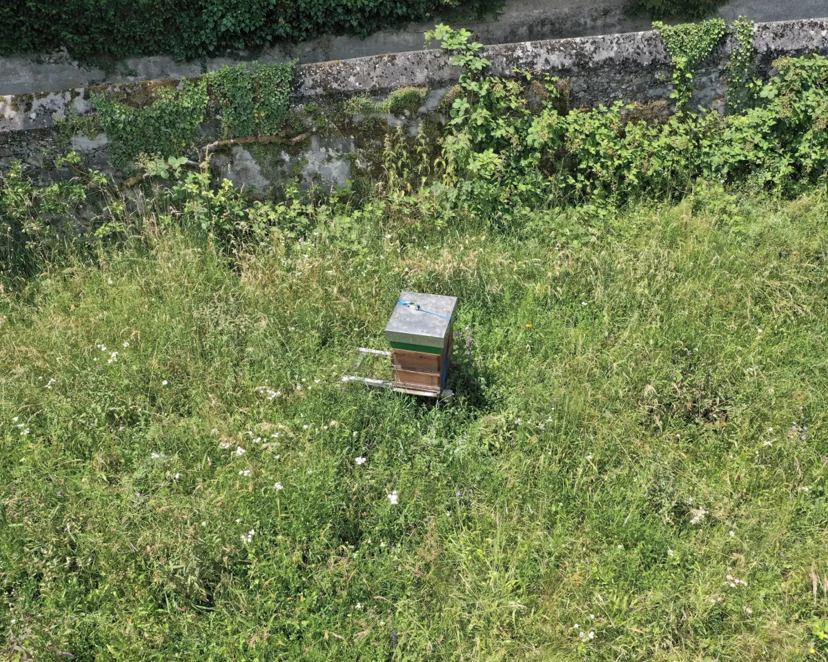 Biennale Images Vevey 2020