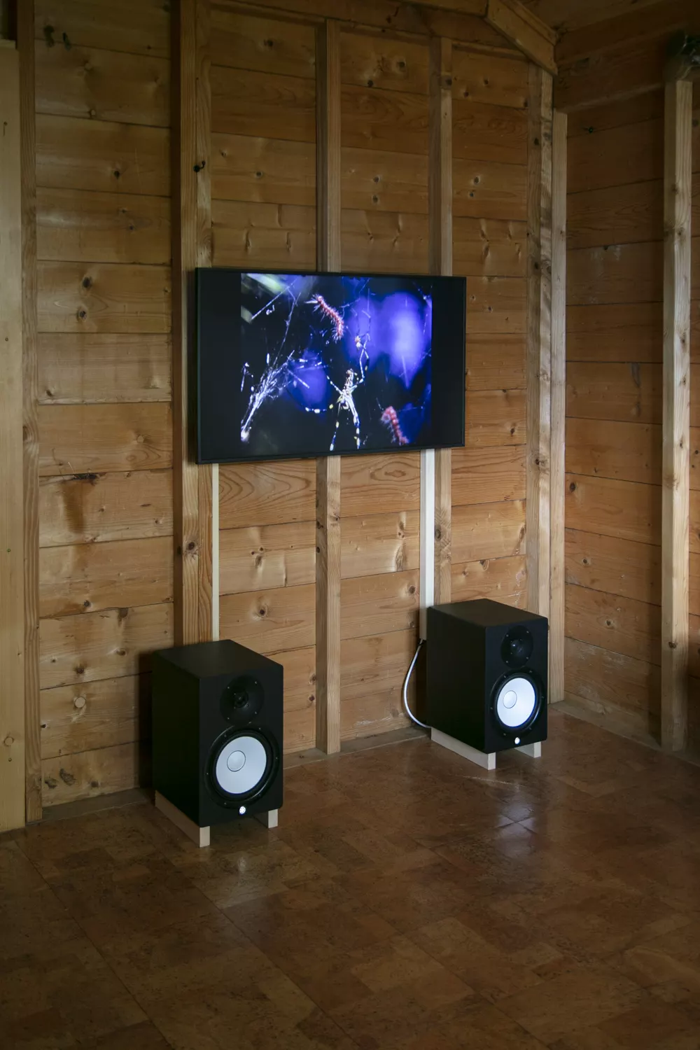 Biennale Images Vevey 2022