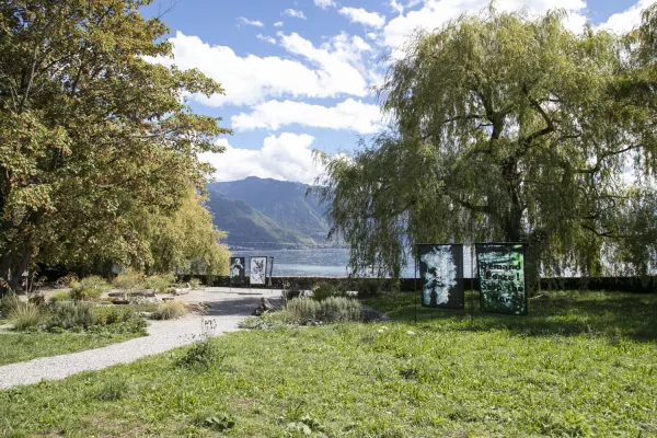 Biennale Images Vevey 2022