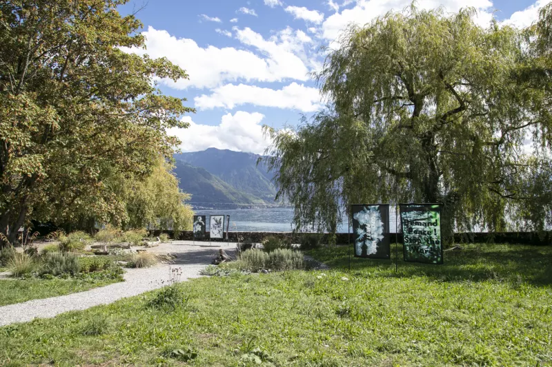Biennale Images Vevey 2022