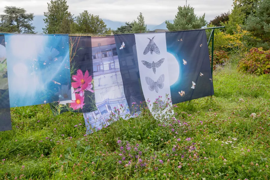 Fondation USM Design Grant