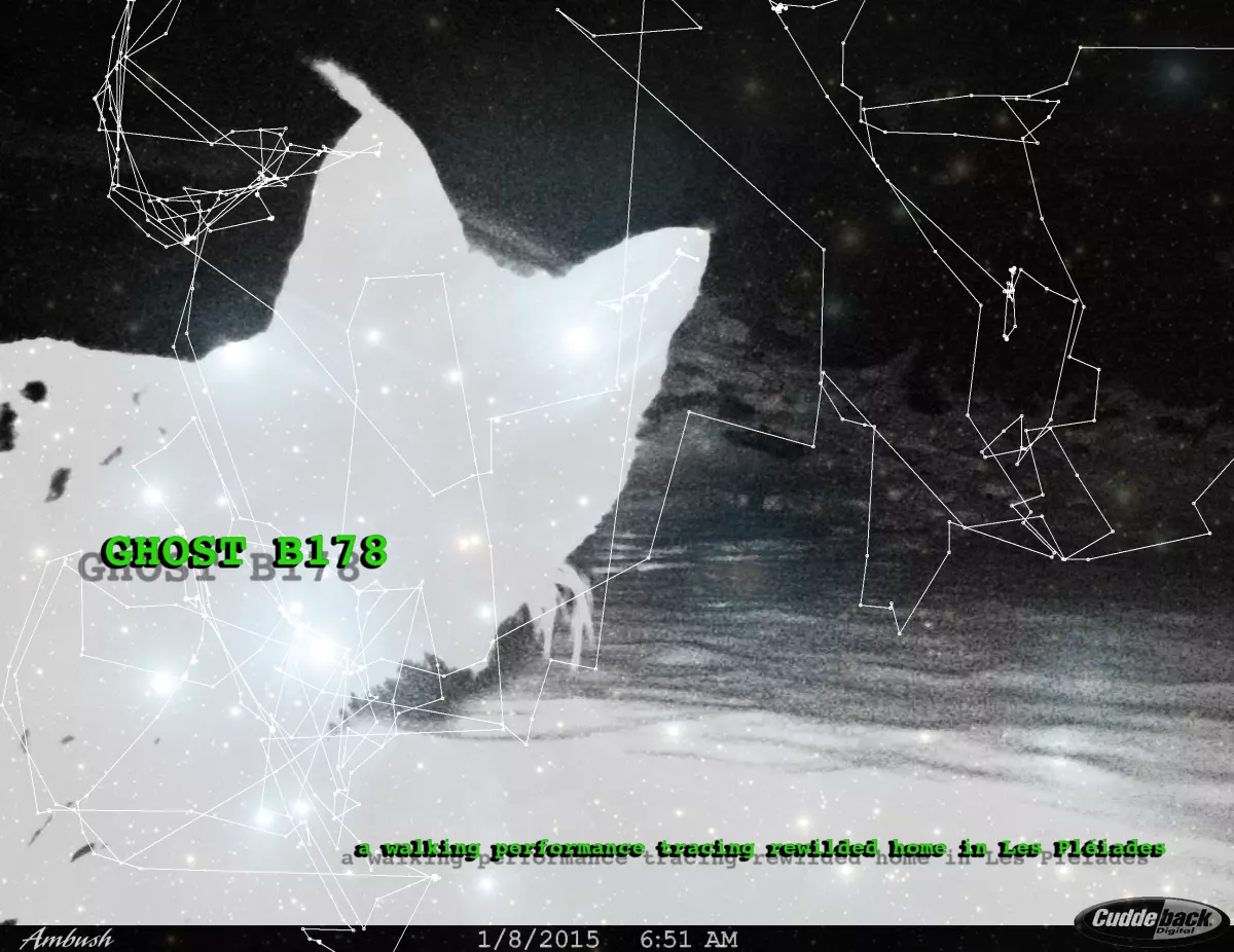 Ghost B178 (Welcome to The Contact Zone) by Miriam Simun
