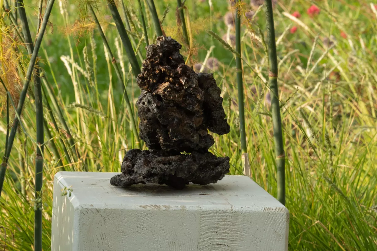 Modern Nature: An Homage to Derek Jarman - Part 3