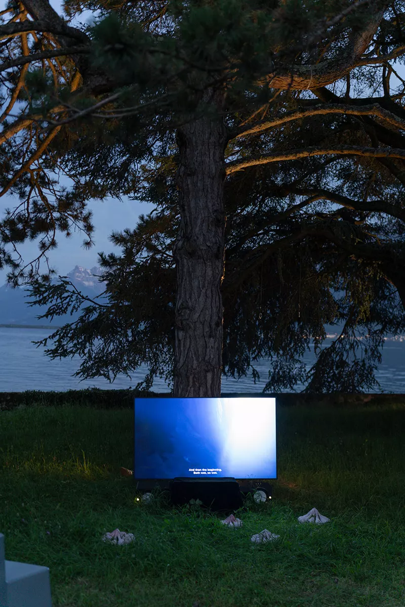 Modern Nature: Hommage à Derek Jarman - Partie 5