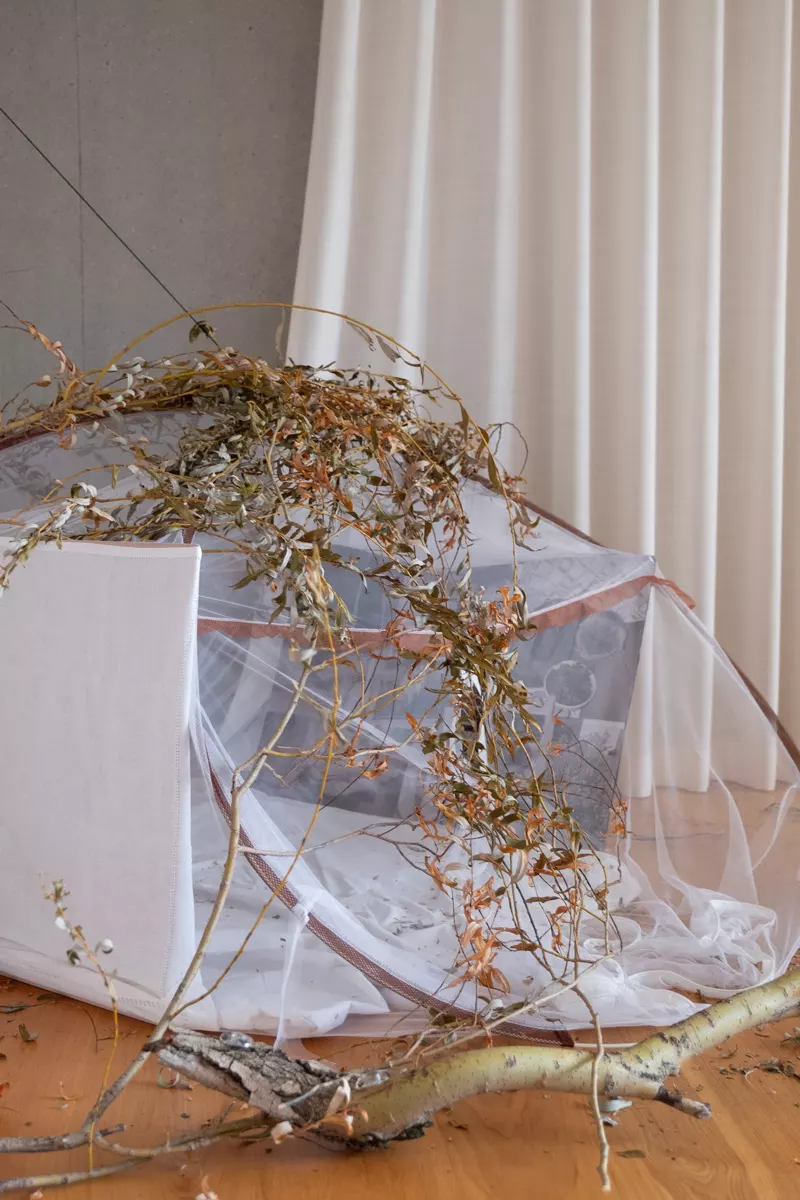 Open Studios Fall 2023