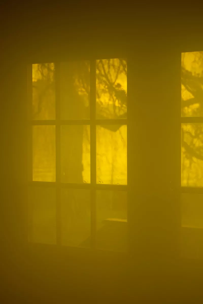 Open Studios Spring 2025