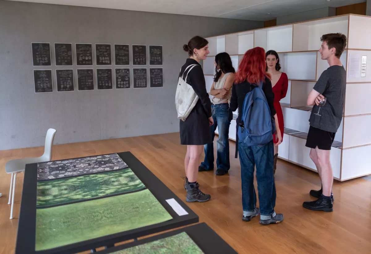 Open Studios Summer 2022