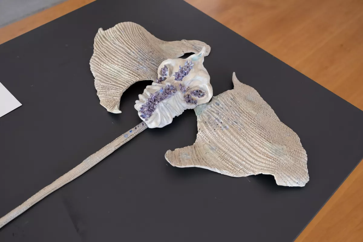 Open Studios Summer 2023