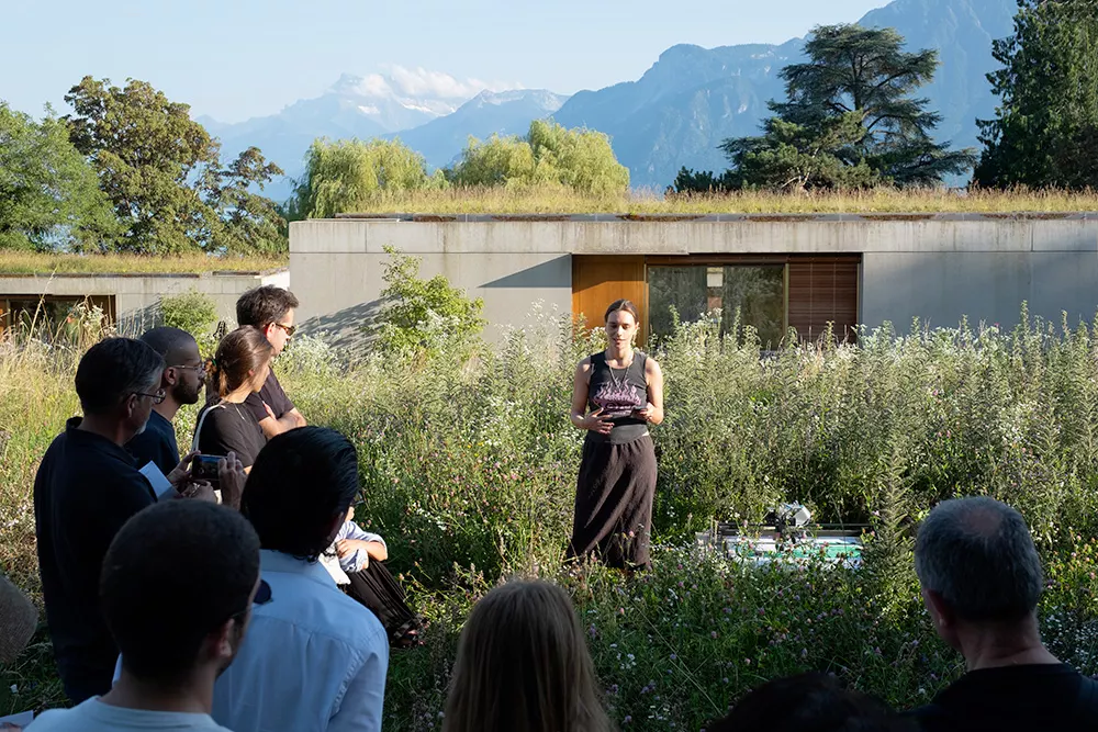 Open Studios Summer 2024