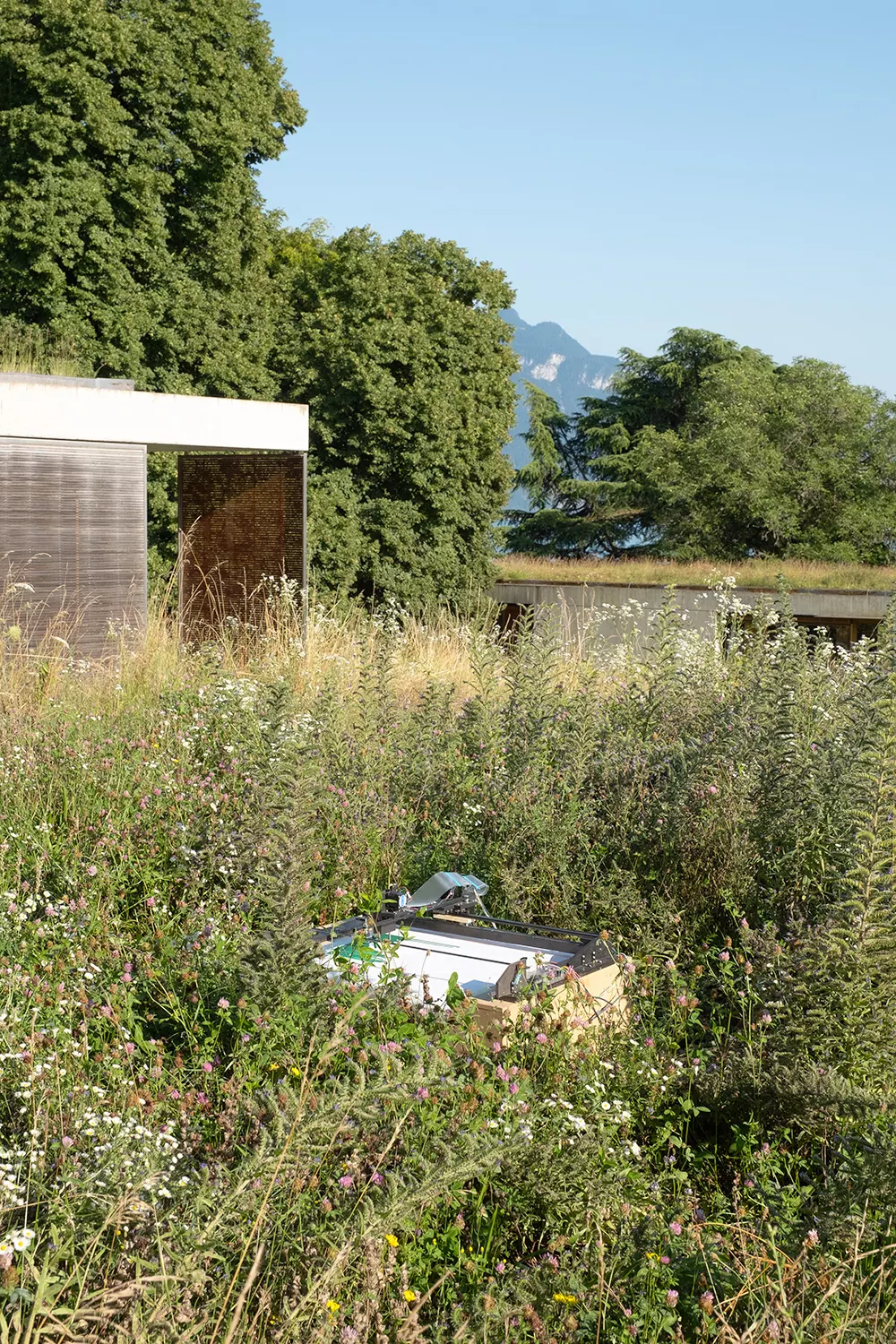 Open Studios Summer 2024