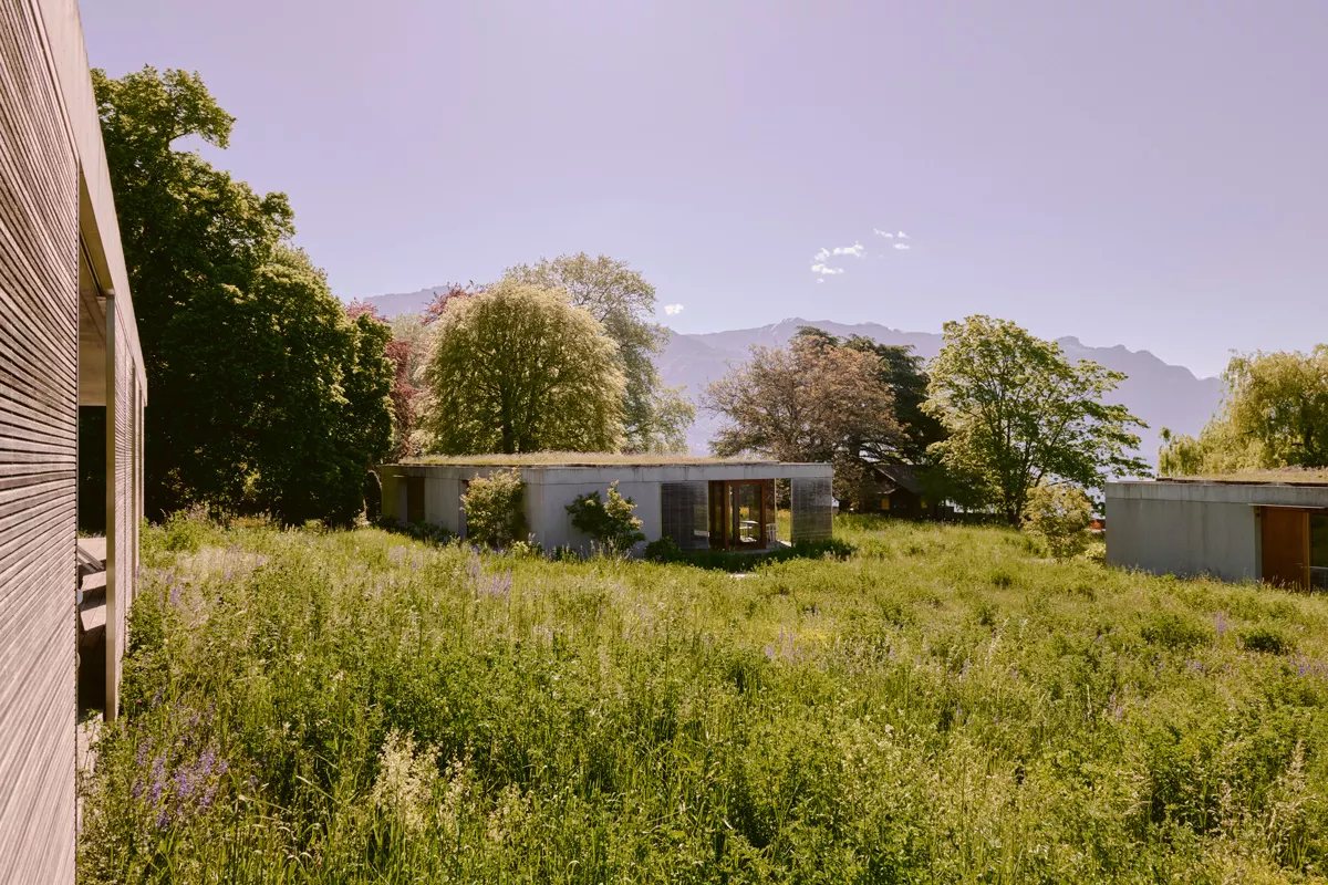 Photo Matthieu Croizier