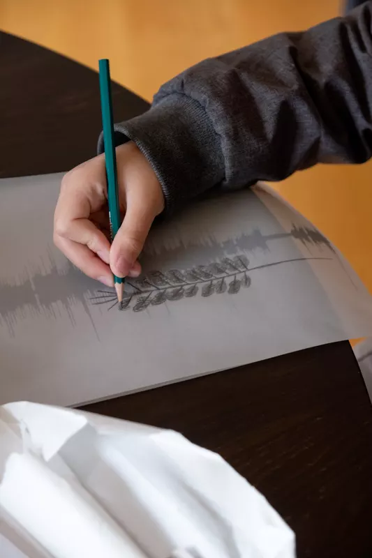 Amina Jendly
