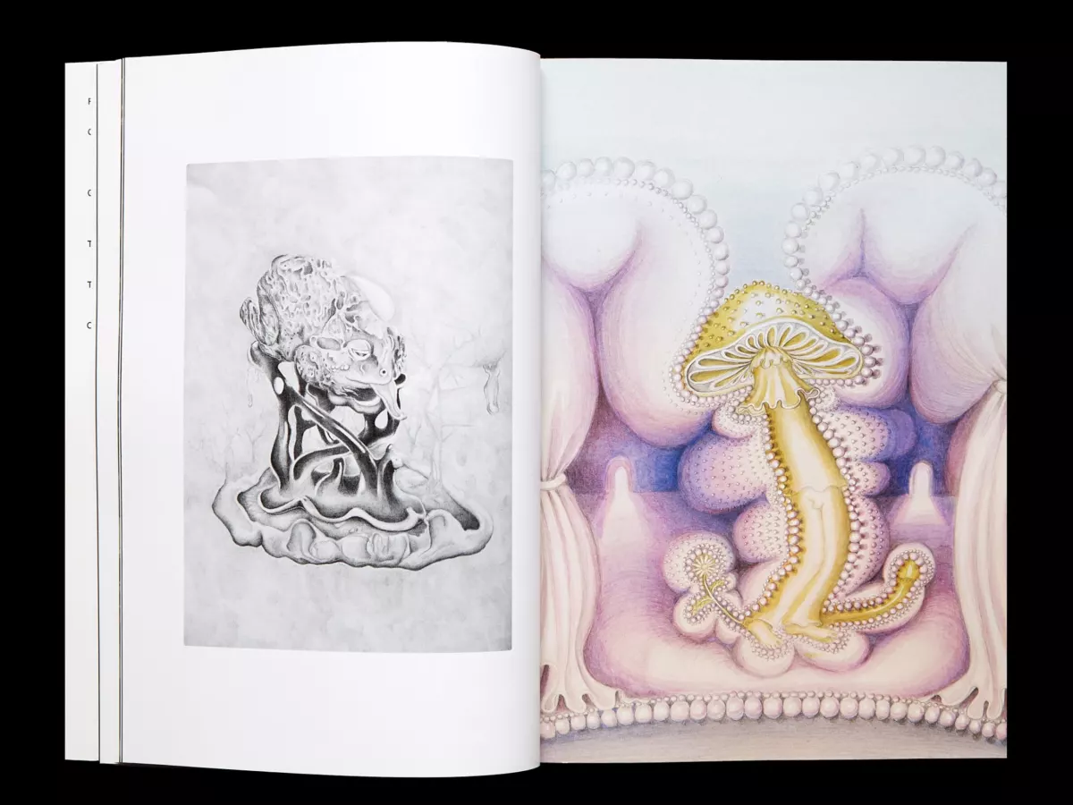 Klima Magazine