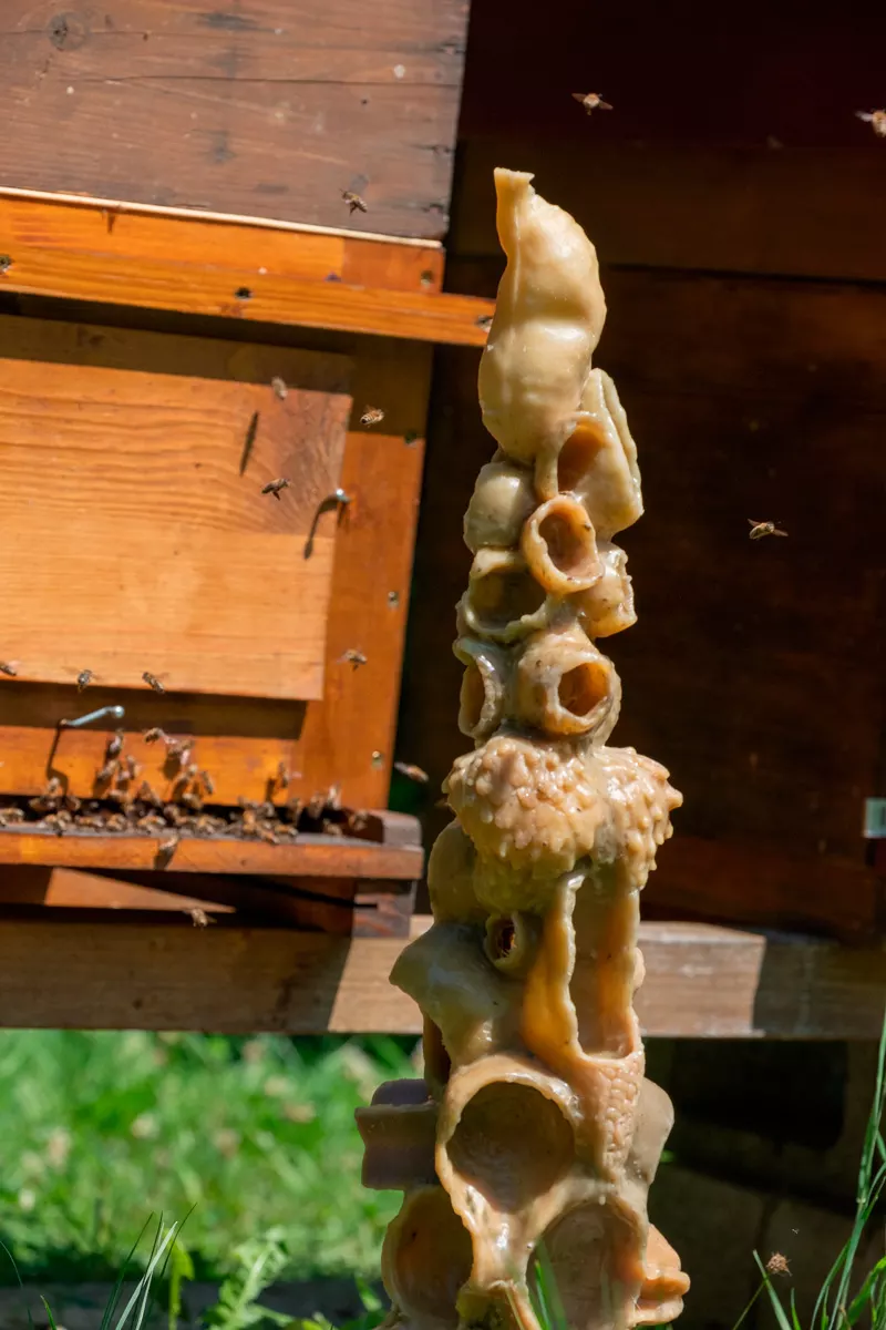 Diambe