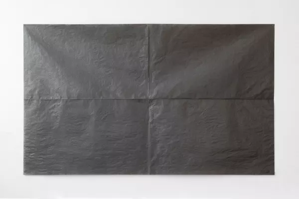 Mahshid Rafiei, ‘trace’, 2020