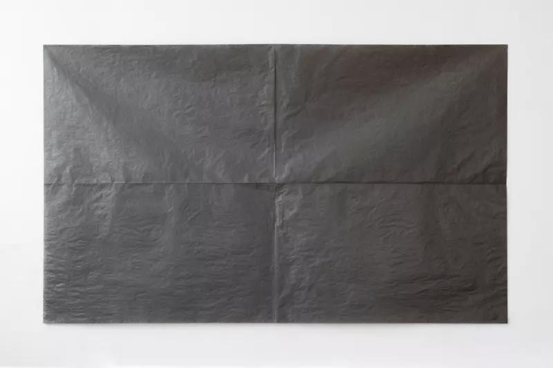 Mahshid Rafiei, ‘trace’, 2020