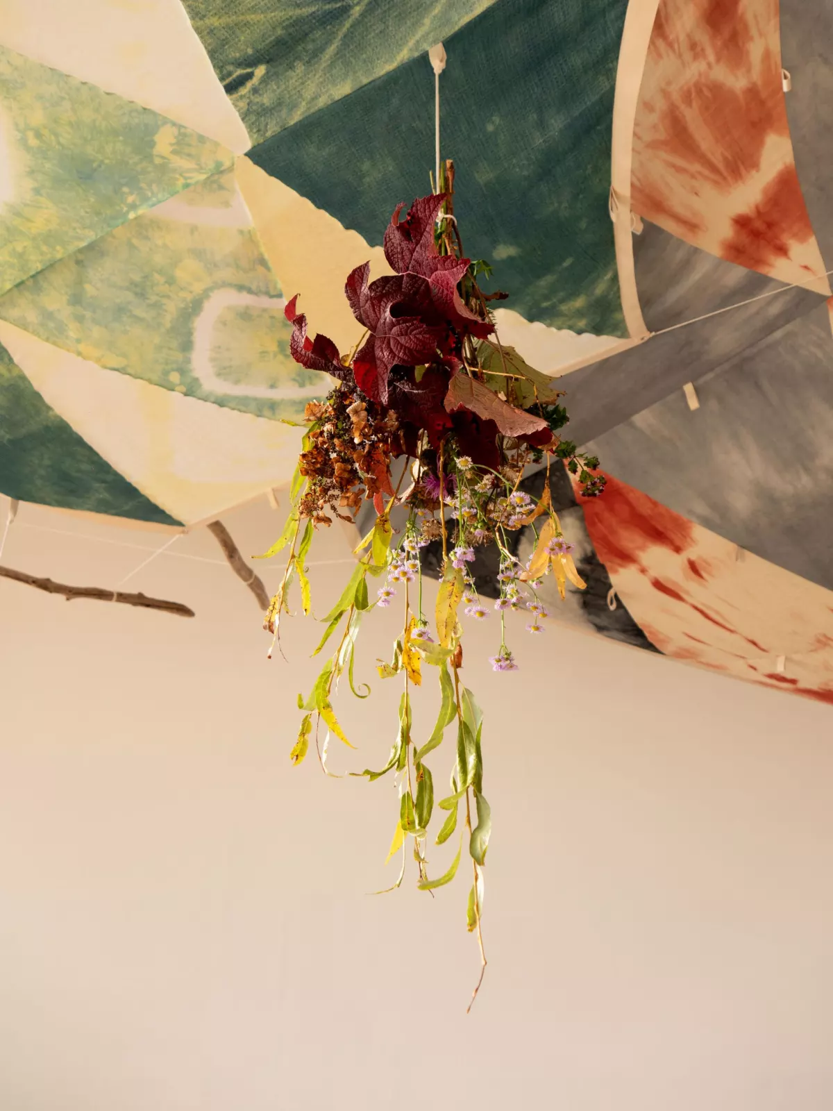 The Mycological Twist