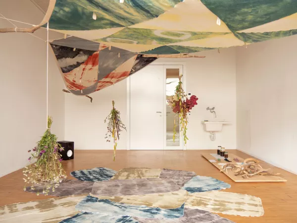 Maratus Canopy, The Mycological Twist, La Becque, 2021