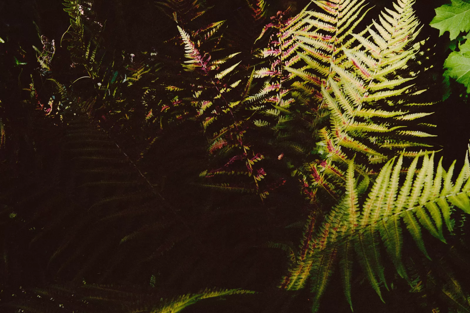Photo Matthieu Croizier